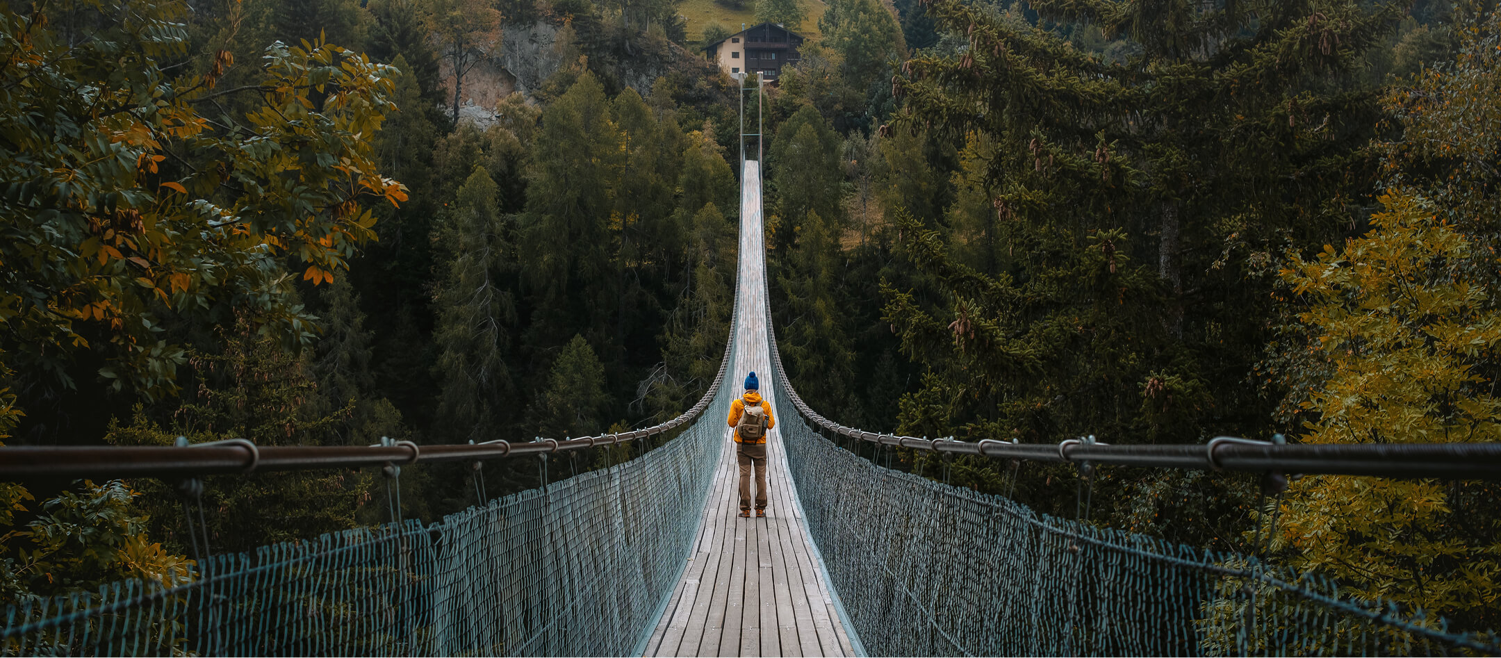 Hängebrücke im Wald – Metapher für sichere Übergänge bei Veränderungsprozessen