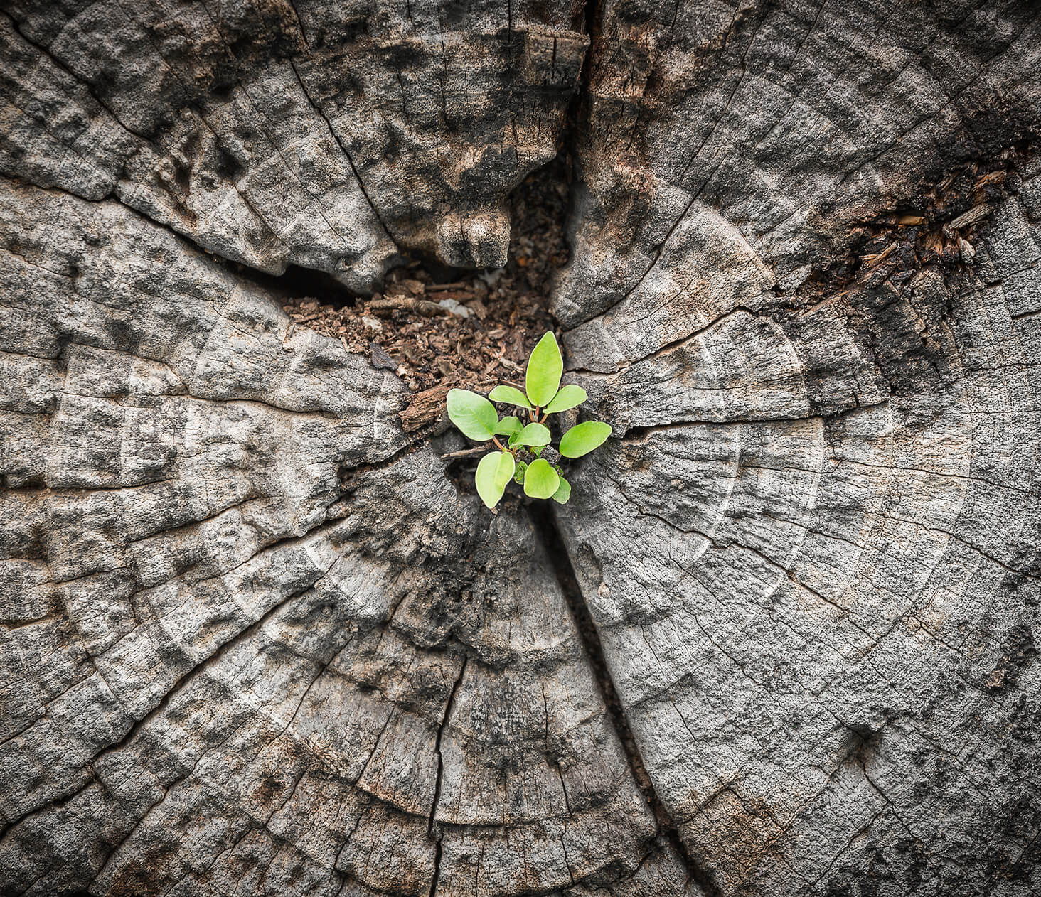 ideen-businessplan-business-plan-duesseldorf-entwicklung-unternehmensstrategie